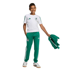 Mexico National Team Youth FIFA x World Cup Alphaskin Pants - Green | Adidas cheap