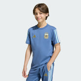 Argentina National Team Youth FIFA x World Cup Alphaskin T-Shirt - Blue | Adidas shop
