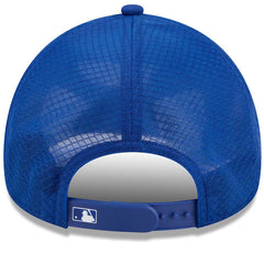 New York Mets 2026 Batting Practice Alternate Apex 9FORTY Adjustable Hat - Royal | New Era