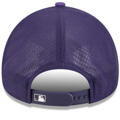 Arizona Diamondbacks 2026 Batting Practice Alternate Apex 9FORTY Adjustable Hat - Purple | New Era