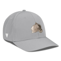Colorado Avalanche Levelwear Rise Copper Insignia Flex Hat Gray