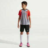 Chelsea Youth 2025/26 Academy Pro Pre-Match Top - Gray | Nike cheap