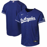Los Angeles Dodgers Youth Alternate 2 Stadium Jersey - Royal | Nike
