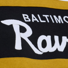 Baltimore Ravens Head Coach Hoodie - Black online