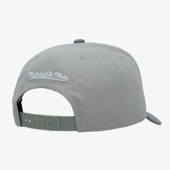 San Antonio Spurs Thunderstorm Head Coach Pro Crown Snapback Hat - Gray | Mitchell & Ness sale