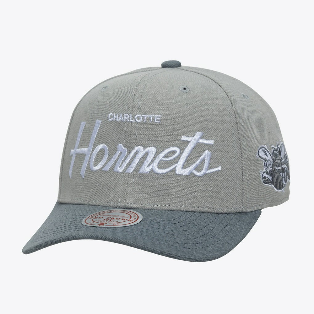 Charlotte Hornets Thunderstorm Head Coach Pro Crown Snapback Hat - Gray | Mitchell & Ness sale