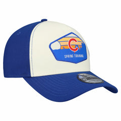 Chicago Cubs 2026 Spring Training Fan Pack Gradient 39THIRTY Flex Hat - Stone/Royal | New Era
