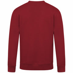 Arizona Diamondbacks Levelwear Zane Banner Arch Sweatshirt - Red