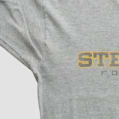 Pittsburgh Steelers Reebok 2000s T-Shirt - Gray Vintage online