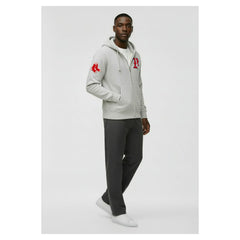 Boston Red Sox Champion Reverse Weave Chenille Full-Zip Hoodie - Gray