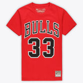 Scottie Pippen Chicago Bulls Unisex Hardwood Classics Name & Number T-Shirt sale - Red | Mitchell & Ness outlet
