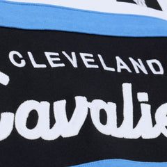 Cleveland Cavaliers Head Coach Hoodie sale - Black | Mitchell & Ness online