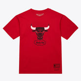 Chicago Bulls Unisex Hardwood Classics Arch T-Shirt sale - Red | Mitchell & Ness shop
