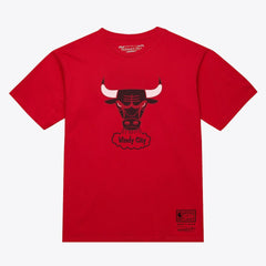 Chicago Bulls Unisex Hardwood Classics Arch T-Shirt sale - Red | Mitchell & Ness shop