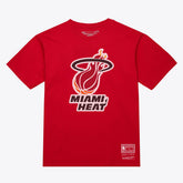 Miami Heat Unisex Hardwood Classics Arch T-Shirt - Red | Mitchell & Ness sale