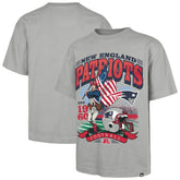 New England Patriots '47 Regional Foundation T-Shirt - Gray online