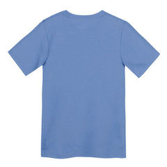 Chicago Cubs Preschool Electric Bear Alternate T-Shirt - Light Blue | Nike