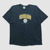 Pittsburgh Steelers NFL 2010s T-shirt - Black Vintage on sale
