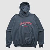 Atlanta Falcons NFL 2000s Hooded Pullover Sweatshirt - Black Vintage cheap