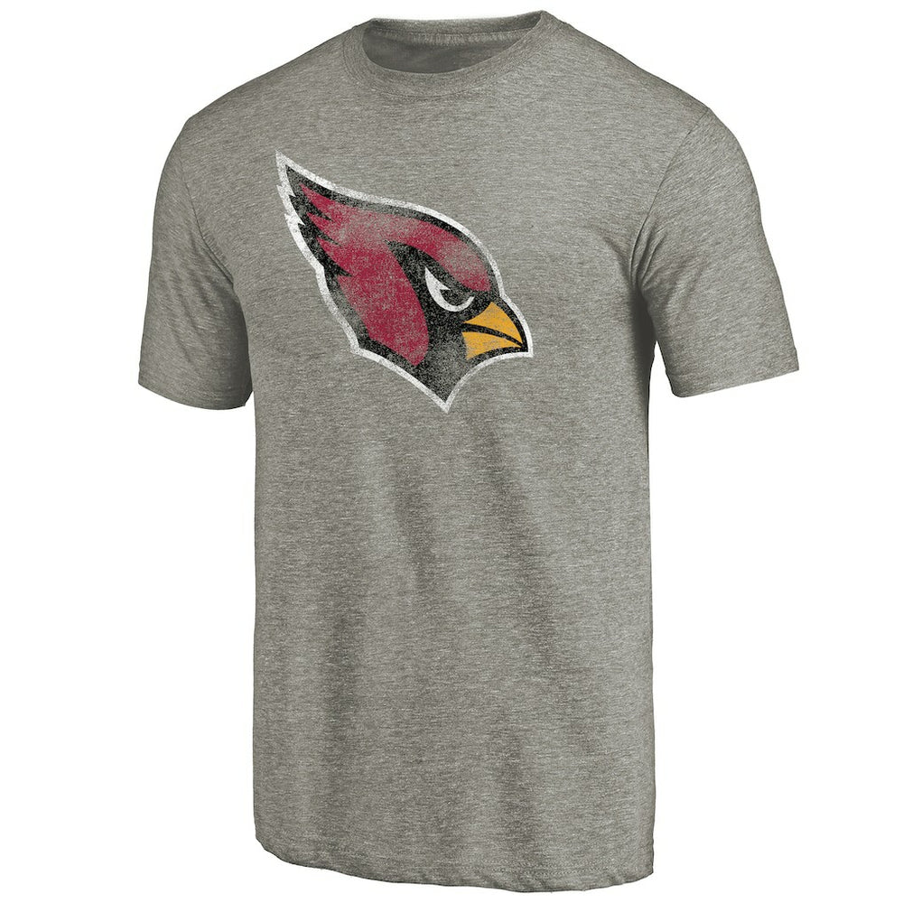 Arizona Cardinals Distressed Team T-Shirt - Ash outlet