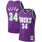 Ray Allen Milwaukee Bucks 2000/01 Hardwood Classics Swingman Jersey - Purple | Mitchell & Ness sale