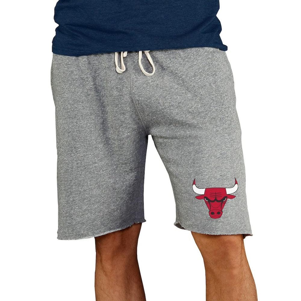 Chicago Bulls Concepts Sport Mainstream Terry Shorts - Gray outlet