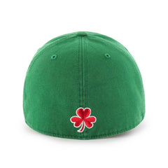 Boston Red Sox Franchise Fitted Hat - Green | 47 brand