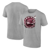 Arizona Cardinals Big & Tall Sporting Chance T-Shirt - Heathered Gray sale