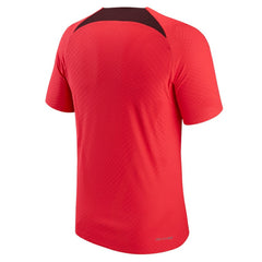 Liverpool Advance Strike Raglan Performance Top - Red | Nike cheap