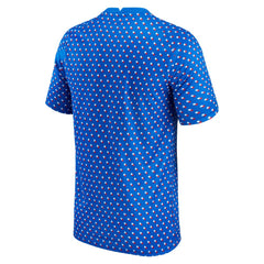France Women's National Team 2021/22 Pre-Match Top - Blue | Nike sale