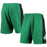 Boston Celtics 2007 Hardwood Classics 75th Anniversary Swingman Shorts - Kelly Green | Mitchell & Ness on sale