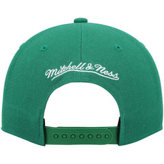 Boston Celtics Hardwood Classics Team Ground 2.0 Snapback Hat - Kelly Green | Mitchell & Ness online