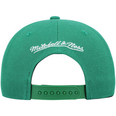 Boston Celtics Ground 2.0 Snapback Hat - Kelly Green | Mitchell & Ness sale