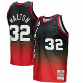 Bill Walton Portland Trail Blazers 1976/77 Hardwood Classics Fadeaway Swingman Player Jersey - Red/Black | Mitchell & Ness on sale
