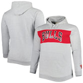 Chicago Bulls Big & Tall Wordmark Pullover Hoodie sale - Heather Gray | Fanatics shop