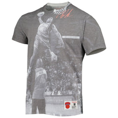 Nate Robinson New York Knicks Above The Rim T-Shirt - Gray | Mitchell & Ness sale