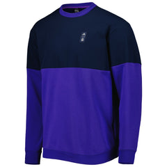 Argentina National Team Graphic Pullover Sweatshirt - Navy/Purple | Adidas sale