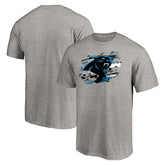 Carolina Panthers True Color T-Shirt - Heather Gray online