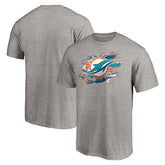 Miami Dolphins True Color T-Shirt - Heather Gray discount