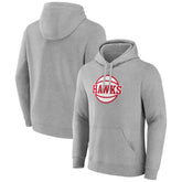 Atlanta Hawks Alternate Logo Pullover Hoodie - Gray online