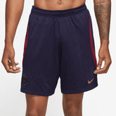 Paris Saint-Germain 2023/24 Strike Performance Shorts - Navy | Nike on sale