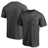 Arizona Diamondbacks Team Primary Pill T-Shirt - Charcoal