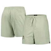 Detroit Lions Pro Standard Neutrals 2.0 Woven Shorts - Light Green online