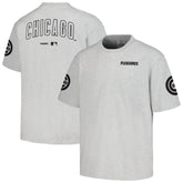 Chicago Cubs PLEASURES Team T-Shirt - Gray