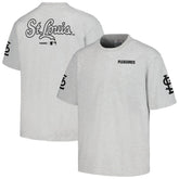 St. Louis Cardinals PLEASURES Team T-Shirt - Gray