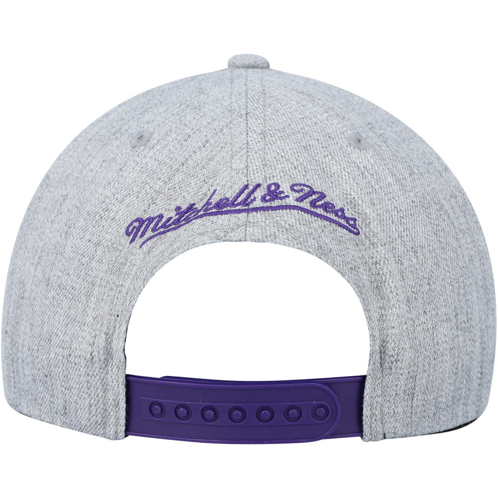 Toronto Raptors Hardwood Classics 2.0 Snapback Hat - Heather Gray | Mitchell & Ness shop