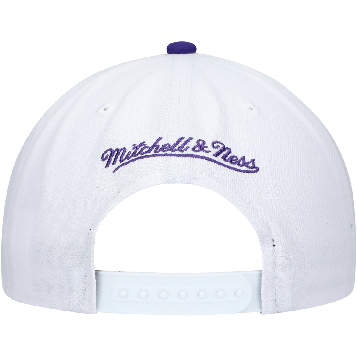 Milwaukee Bucks Hardwood Classics Core 2-Tone 2.0 Pro Snapback Hat - White/Purple | Mitchell & Ness discount