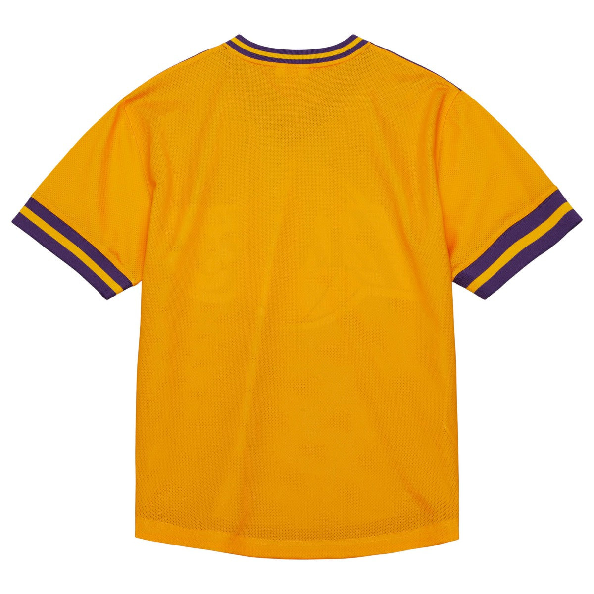Los Angeles Lakers Jumbotron 3.0 Mesh V-Neck T-Shirt - Purple | Mitchell & Ness online