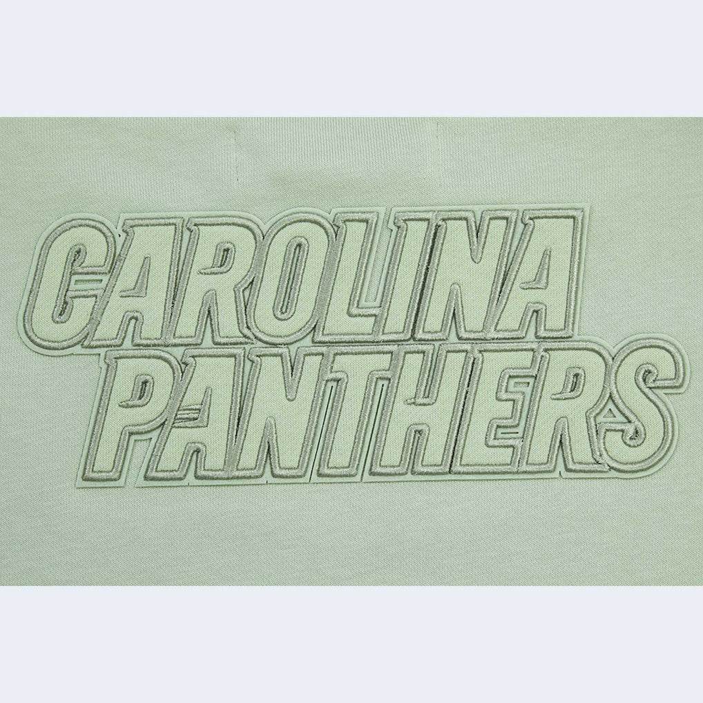 Carolina Panthers Pro Standard Women's Oversized Cropped Neutral Pullover Sweatshirt - Light Green outlet