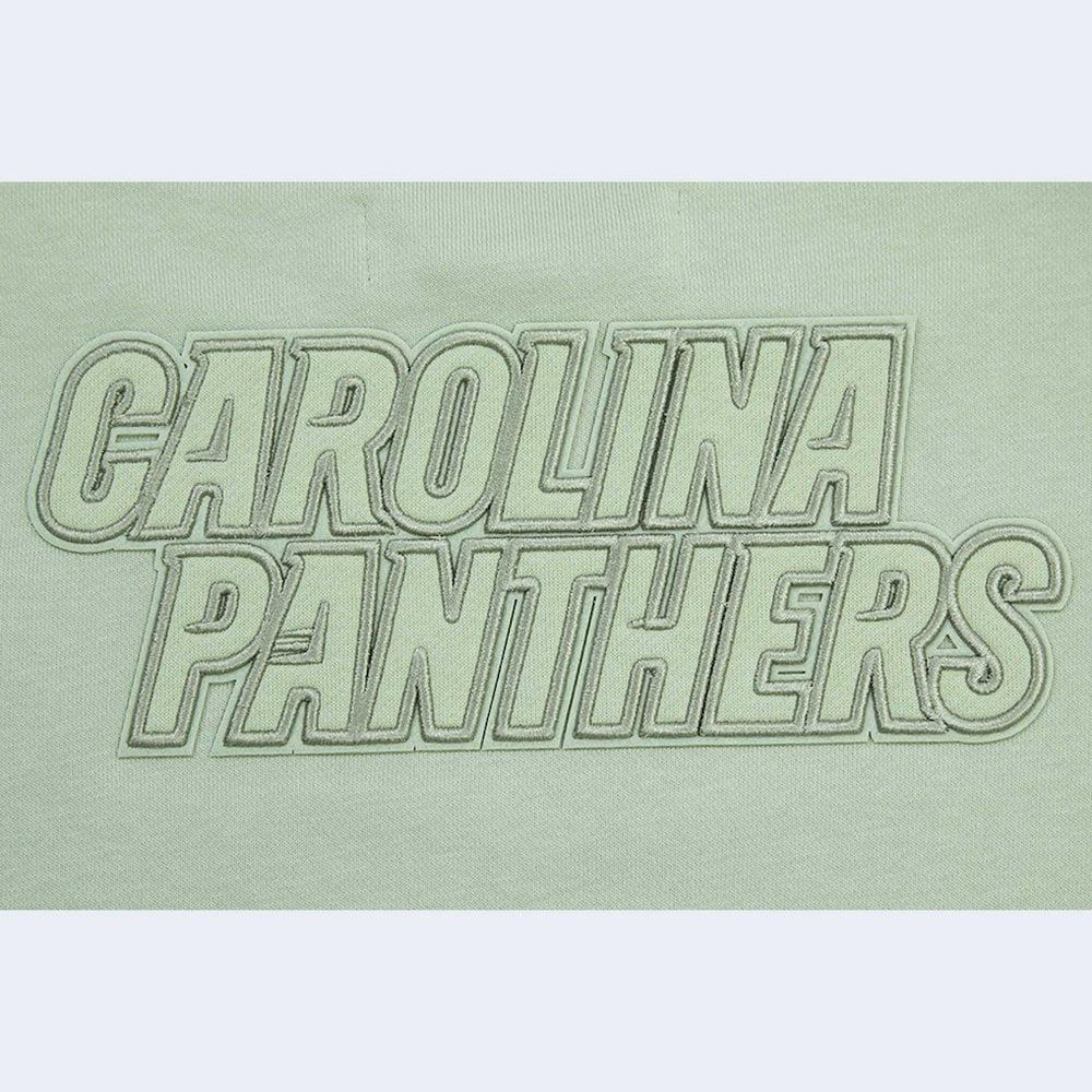 Carolina Panthers Pro Standard Women's Oversized Cropped Neutral Pullover Sweatshirt - Light Green outlet